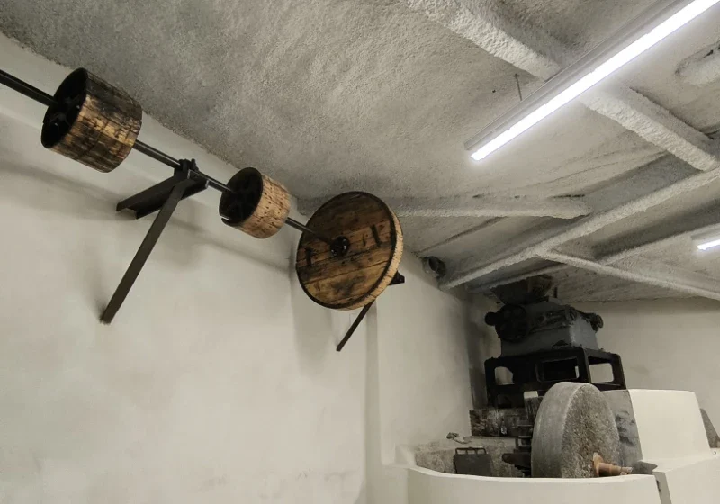 sergio gomara trujal 5.webp